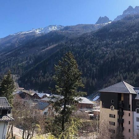 Appartement Cosy - Aiguille Du Midi Chamonix Dış mekan fotoğraf